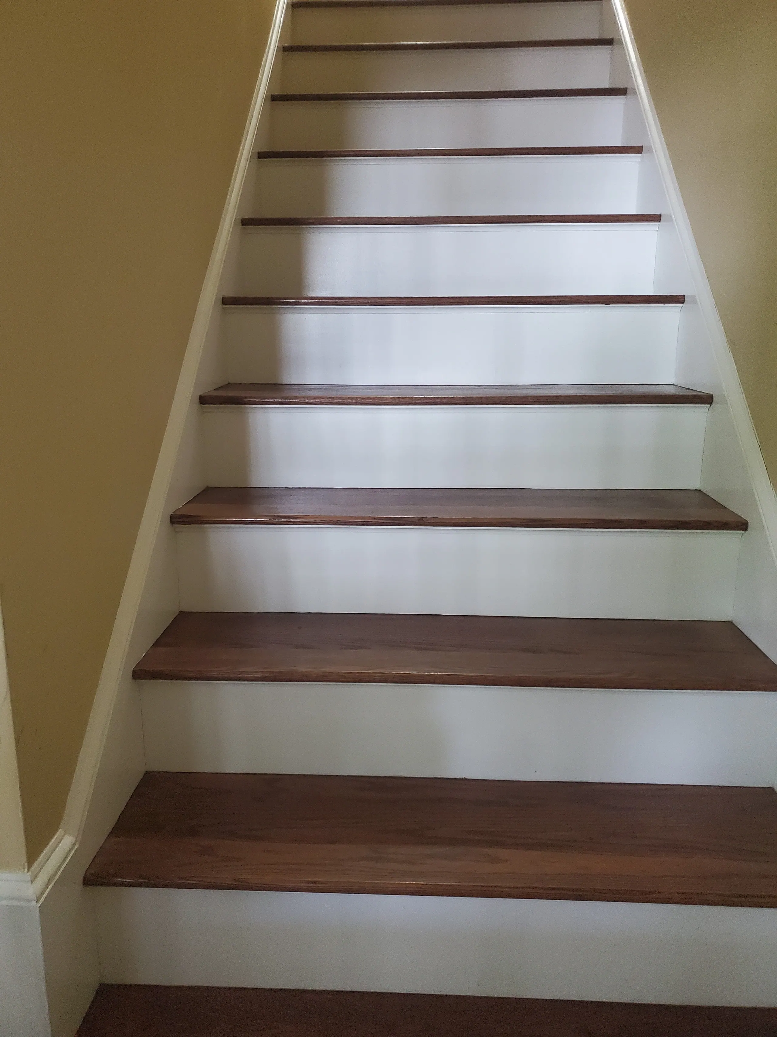 Interior staircase with stained wood treads, crisp white risers and painted walls